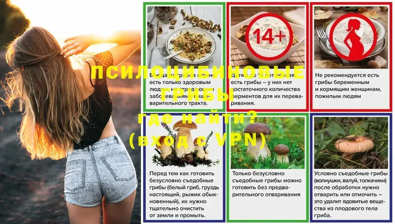 Псилоцибиновые грибы MAGIC MUSHROOMS  где купить наркотик  Балашов 